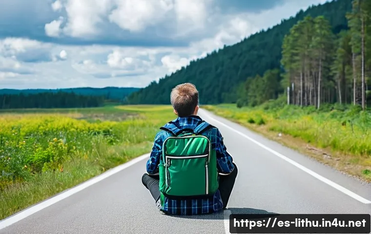 리투아니아에서 히치하이킹 가능 여부 관련 이미지 1